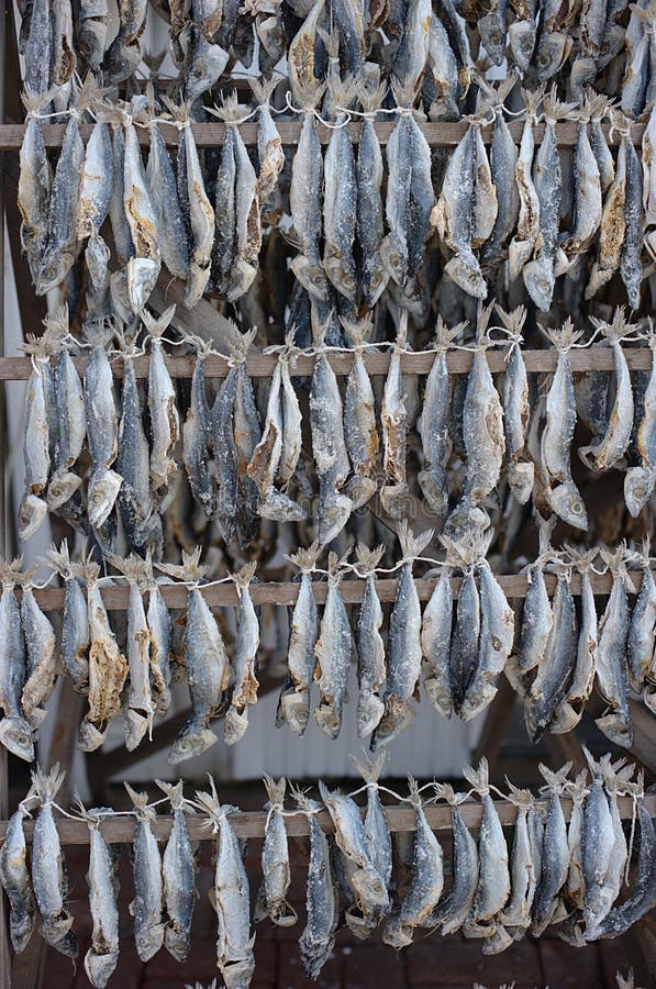 Dried fish stock photo