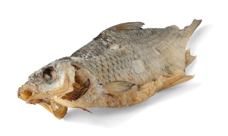 Dried fish royalty free stock images