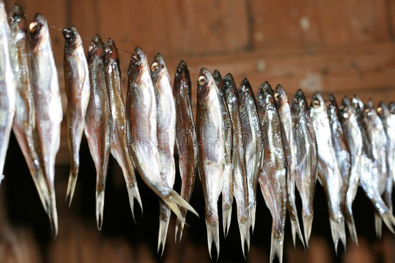 Dried fish