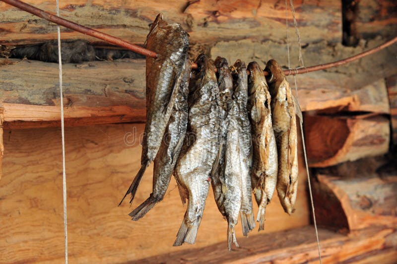 Dried fish stock image. Image of culture, traditional 6018397