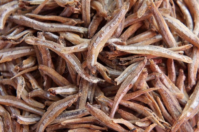 Small Dried Fish from Chinese Market Stock Image Image of dried, salt 1443733