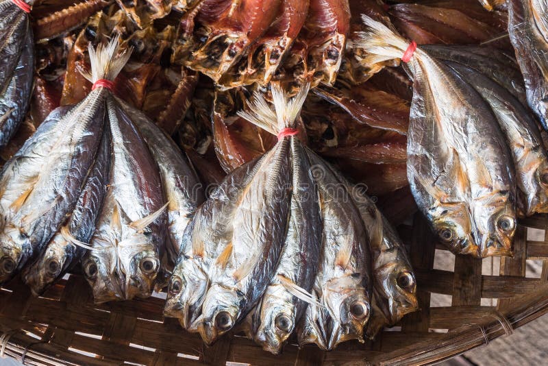 Dried Fish on Bamboo Basket. Stock Photo Image of animal, color 94410710