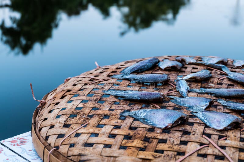 Dried Fish On Bamboo Basket. Stock Photo Image of close, market