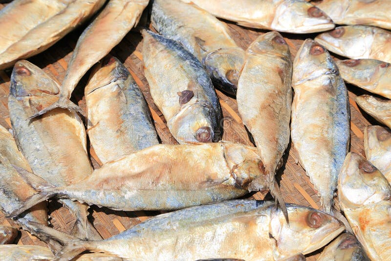 Dried fish stock image. Image of fish, freshness, bangkok 53625229