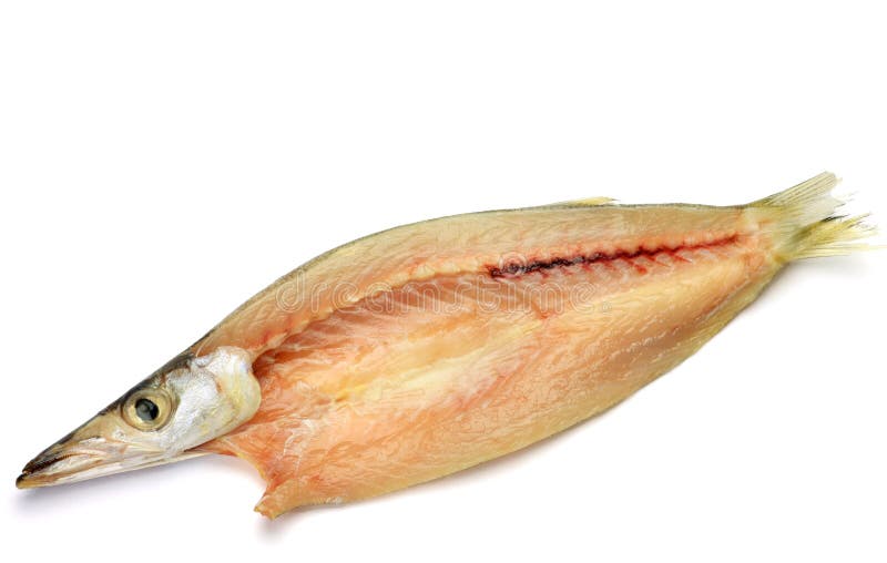 Dried fish of barracuda stock images