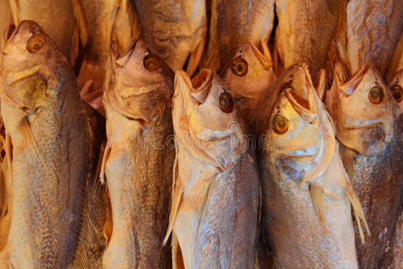 Dried Fish, Chinese Market stock image. Image of seafood 14866537