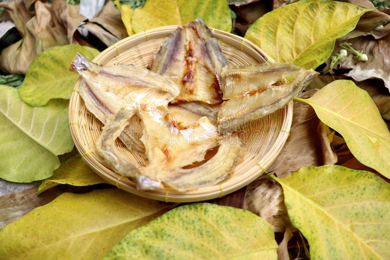 Dried fish stock photo. Image of armenian, drink, drought 183909714