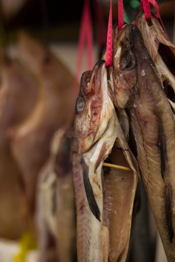 Dried Fish Hanging from Vendor royalty free stock image