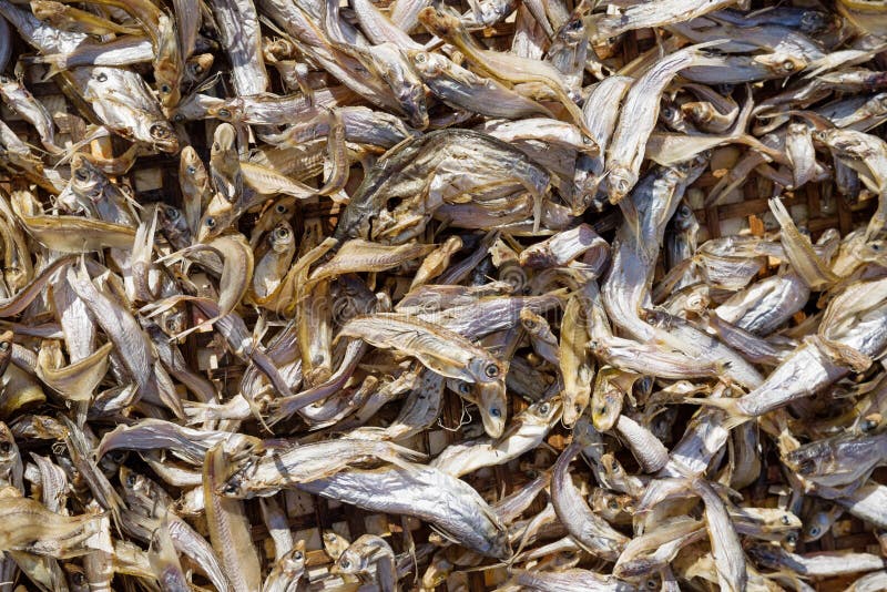 dried minnows