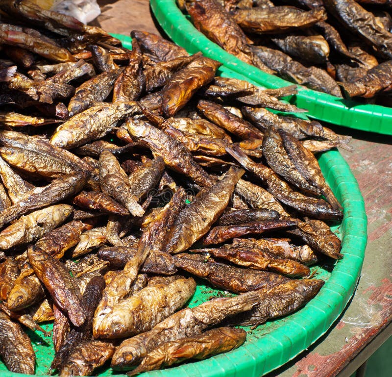 Dried Fish at the Market in Nepal Stock Photo Image of thamel