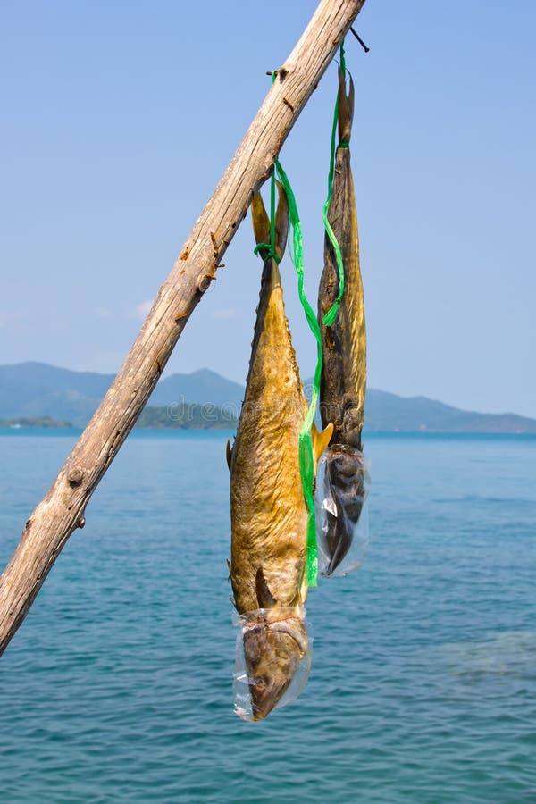 Dried fish near the sea stock photo. Image of cuttlefish 26111866