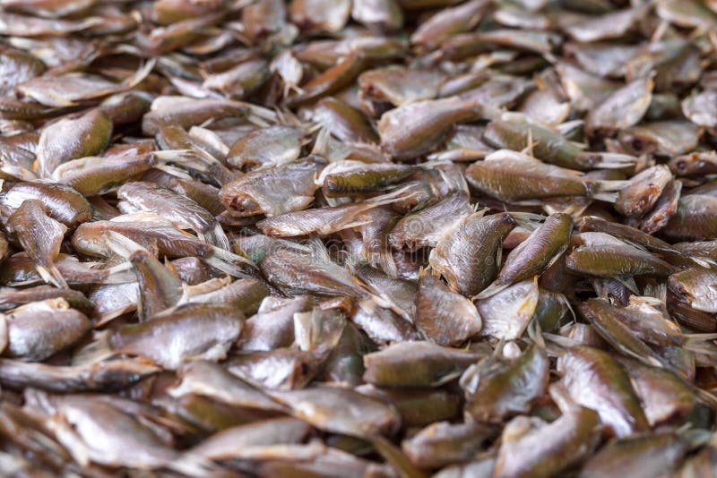 A Dried Fish on Plate in the Marketplace Stock Photo Image of iceland