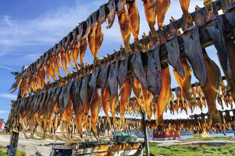 Dried fish in Rodebay settlement