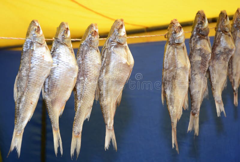Dried Fish on a Rope for Sale Image Stock Image Image of snack