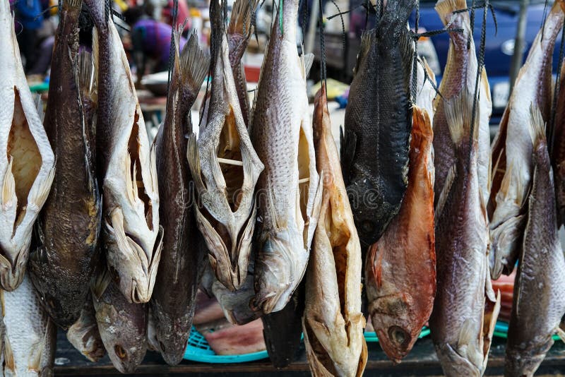 Dried fish stock photo. Image of korea, dessert, treat 61759698