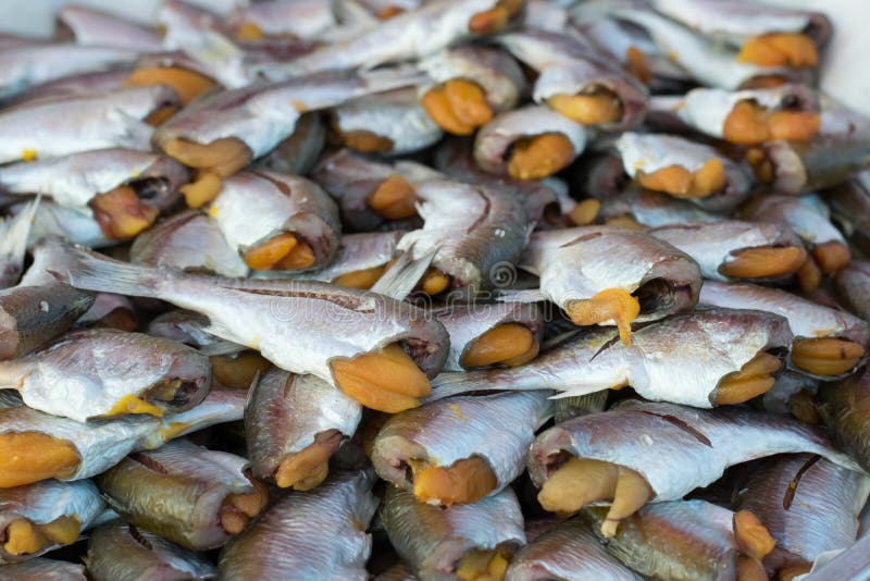 Dried Fish In The Seafood Market, Sun Dried Fish Stock