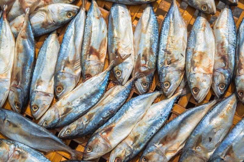 Dried fish stock photo. Image of seafood, ship, boat 30879834