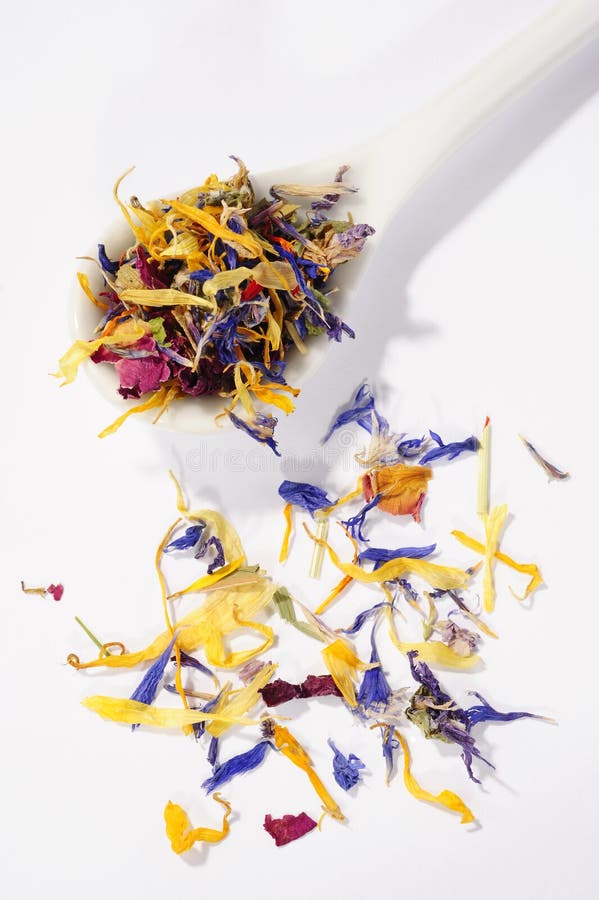 Dried flower petals stock image. Image of dried, cuckoo 25078507