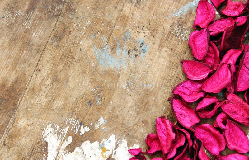 Dried flower on wooden background