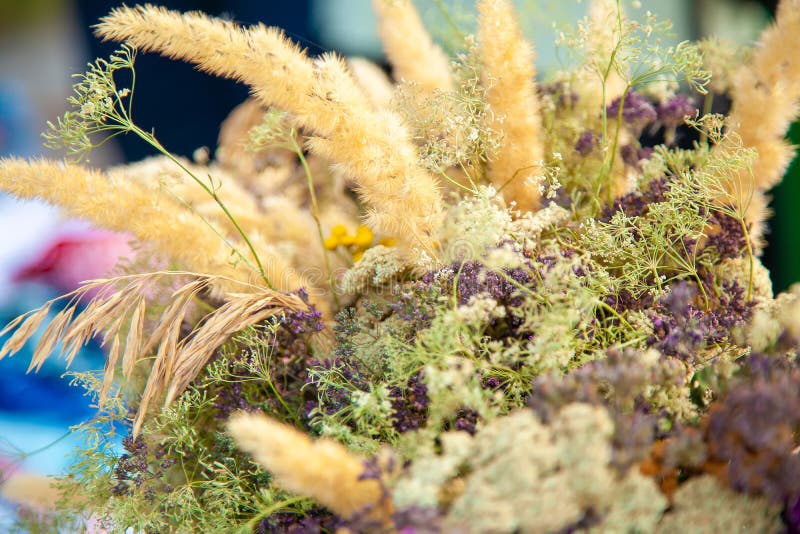 Bouquet of Dried Wild Flowers and Spikelets at a Rural Fair Close Up