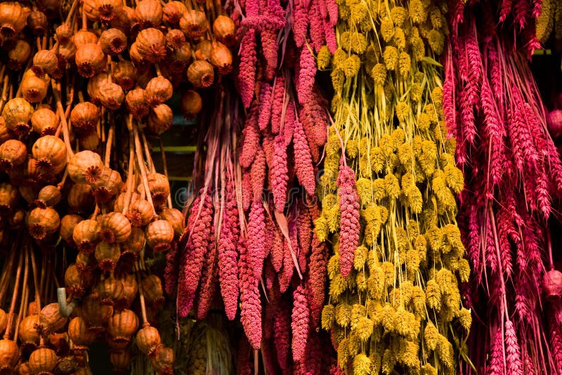 Dried flowers