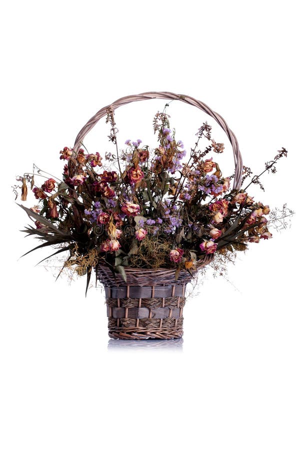 Dried Flowers Basket Isolated Background Reflection Stock Photos Free