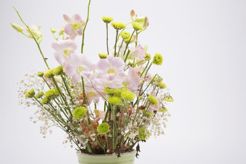 Dried a Flowers, Beautifully Crafted, White Backgrounds Stock Image