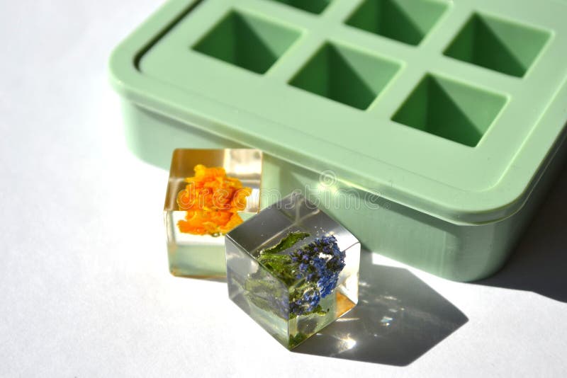 Dried flowers in epoxy resin cubes. Green silicone mold isolated on white background.