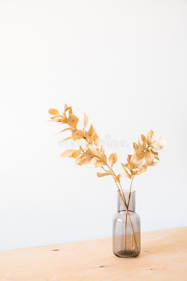 Dried Flowers in a Glass Vase with an Empty Light Wall for Minimalist