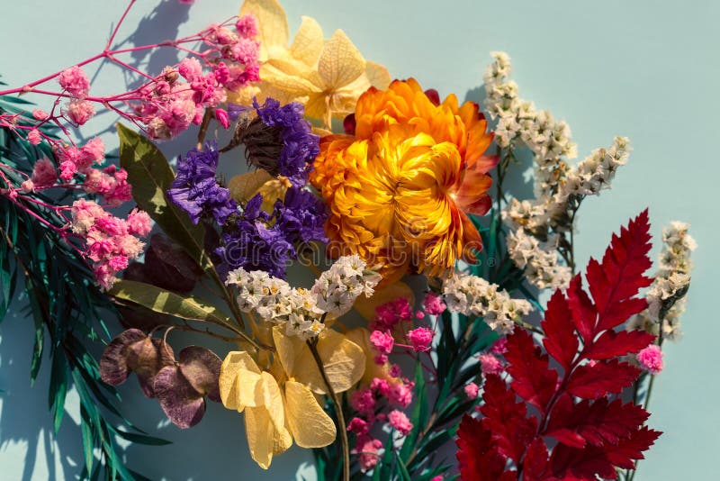 Dried Flowers with Hard Shadows, Bright Dry and Fragrant Flowers Stock