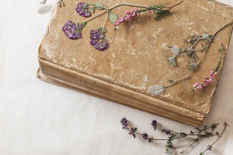 Dried Flowers with Old Book on Old Paper Stock Photo Image of