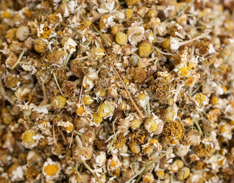 Dried Flowers for Tea on the Counter in the Market Stock Photo Image of spice, traditional