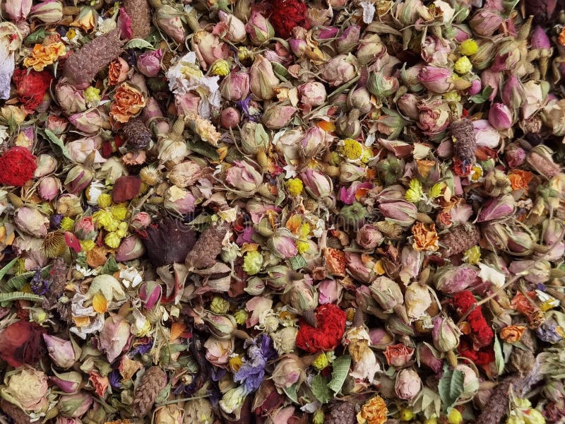 Dried Flowers for Tea Infusion in Bulk but Isolated Stock Image Image