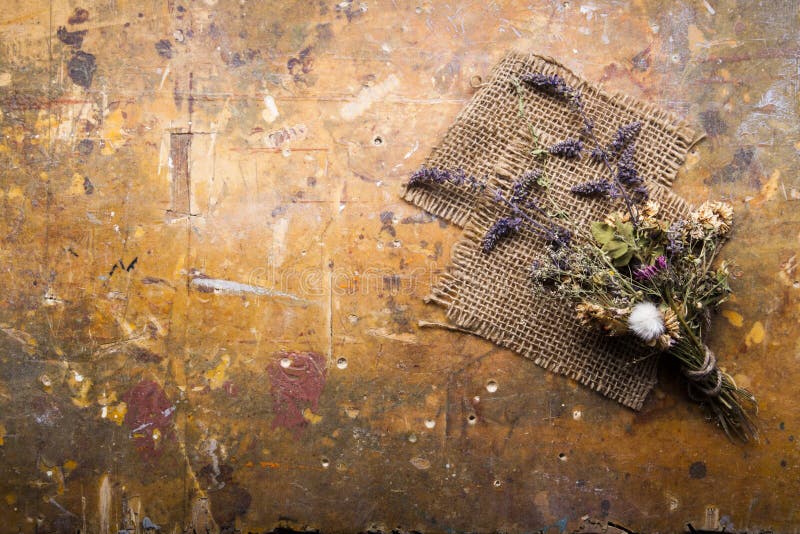 Download Dried Flowers On A Wooden Background Autumn Still Life Stock Photo - Image of horizontal, holidays: 119489618