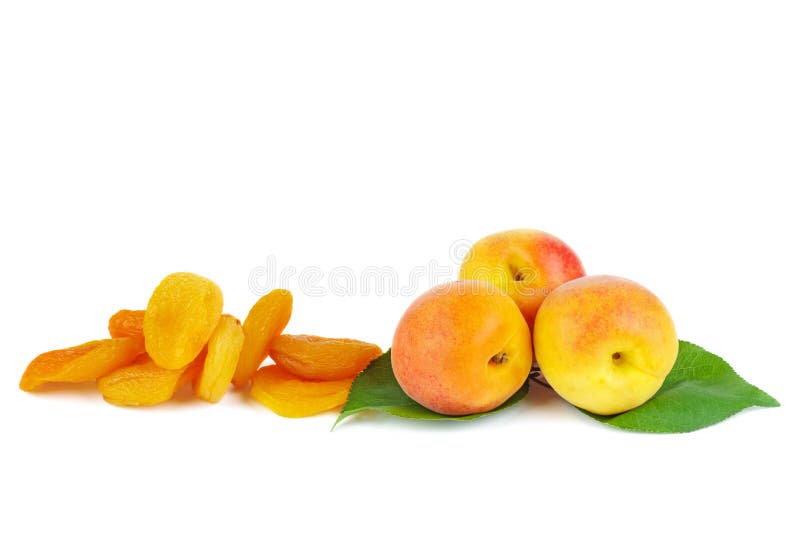 Dried and fresh apricots stock photo. Image of healthy 152521826