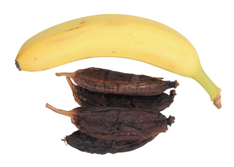 Dried and fresh bananas stock image. Image of closeup 40269319