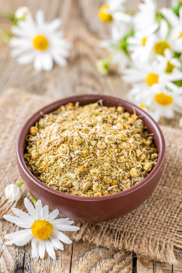 Dried and fresh chamomile flowers and leaves on wooden rustic background