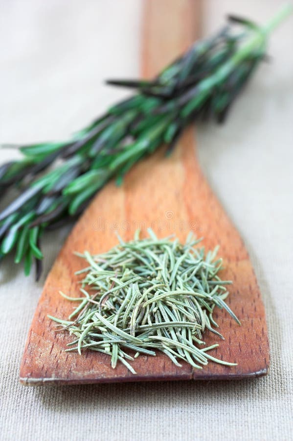 Dried and fresh rosemary stock photo. Image of wooden 3482196