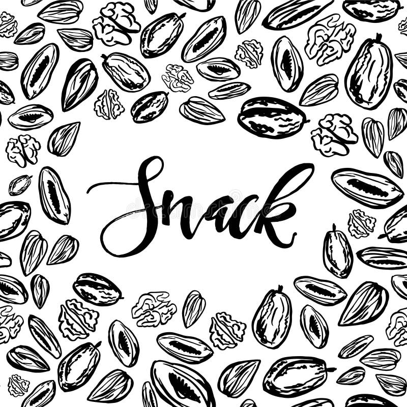 Dry Fruits Nuts Stock Illustrations 240 Dry Fruits Nuts Stock