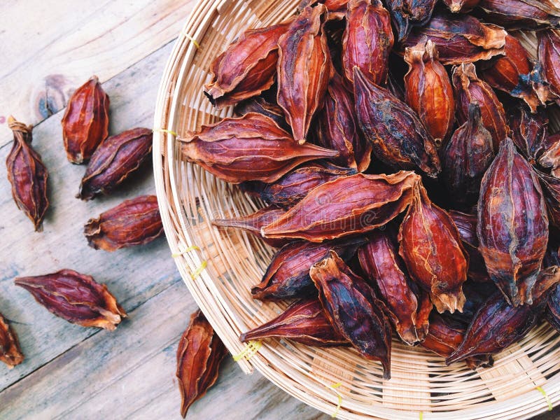 Dried Gardenia Fruit background