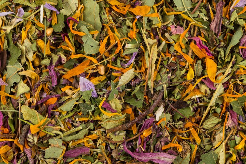 Dried herbal tea leaves stock photo. Image of green, background 76097716