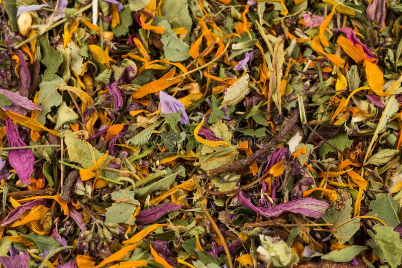 Dried herbal tea leaves stock image. Image of natural 80160833