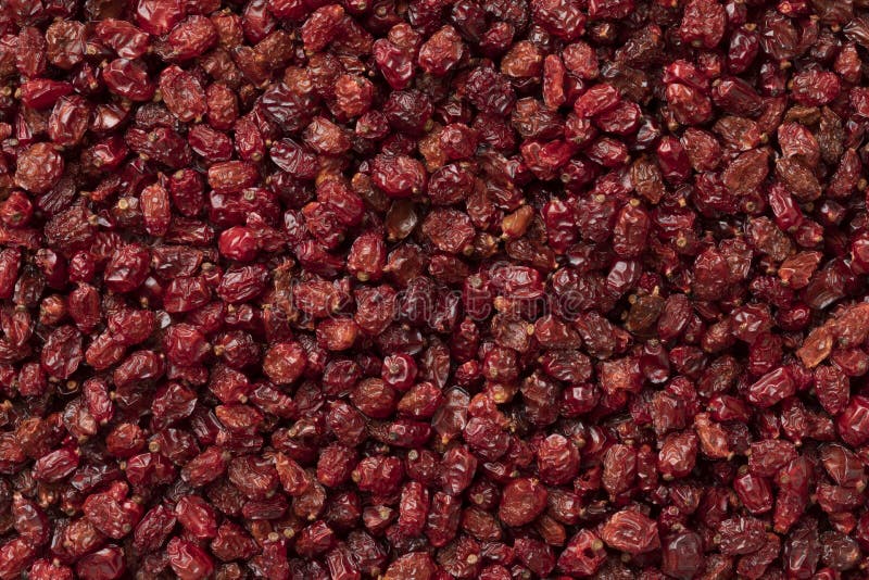 Dried Iranian Barberries Close Up Full Frame Stock Image Image of