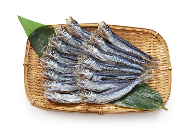 Japanese Anchovy Fish Engraulis Japonicus Beached Themselves. Fishes