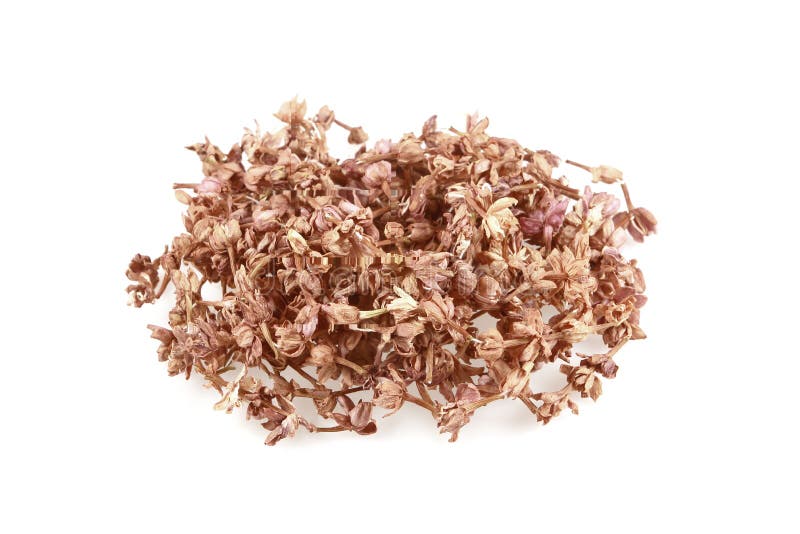 Dried jasmine stock photo. Image of aroma, asian, natural 22375272