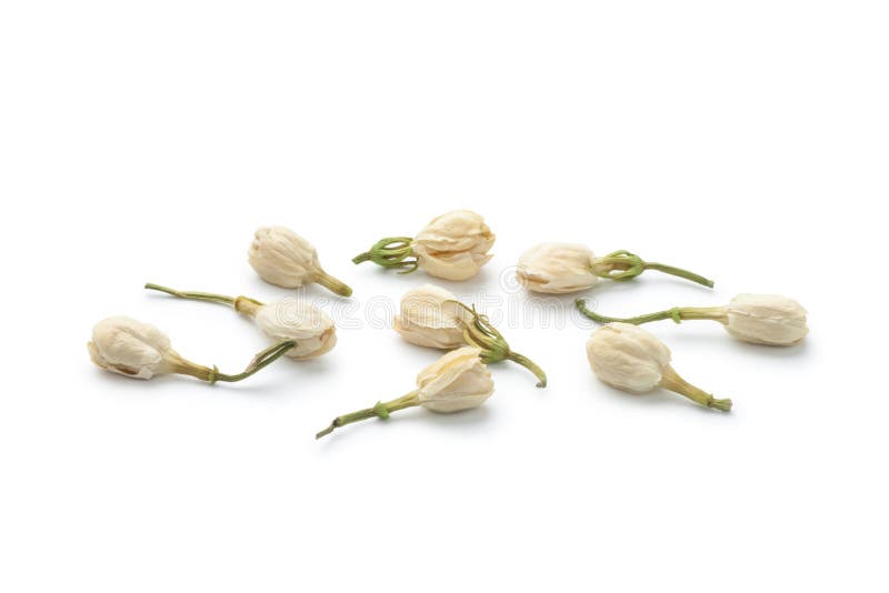 Dried jasmine flowers tea stock image. Image of herb 144869357