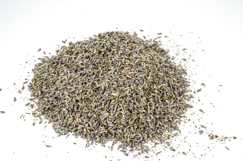 Dried lavender blossoms stock image. Image of herbal 25950825
