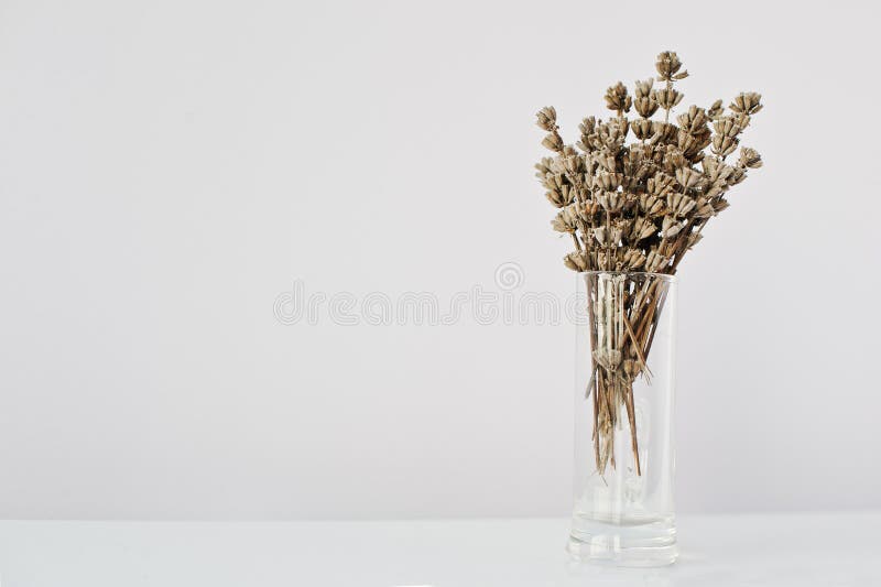 Glass jar of dry lavender flowers, sachets, bunches of dry lavender. Jars  of different dry medicinal herbs on background. Alternative medicine Stock  Photo - Alamy