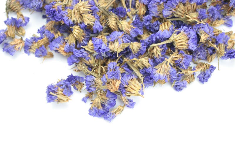 Dried lavender flowers stock photo. Image of group, objects 46033576