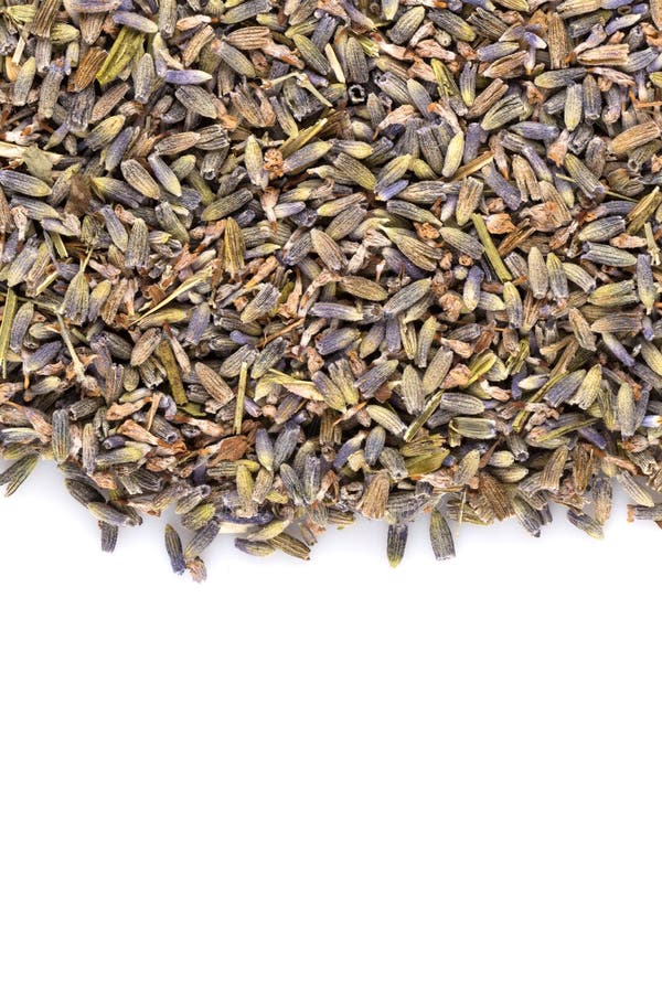 Dried lavender organic tea stock image. Image of herbal 74776103